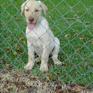 Meet your Posher, Carla